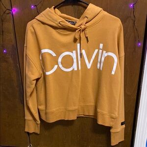 Calvin Klein Multicolored Long Sleeve Boxy Hooded Sweatshirt